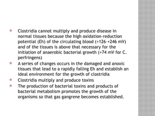  Clostridia cannot multiply and produce disease in
normal tissues because the high oxidation–reduction
potential (Eh) of the circulating blood (+126–+246 mV)
and of the tissues is above that necessary for the
initiation of anaerobic bacterial growth (+74 mV for C.
perfringens)
 A series of changes occurs in the damaged and anoxic
tissues that lead to a rapidly falling Eh and establish an
ideal environment for the growth of clostridia
 Clostridia multiply and produce toxins
 The production of bacterial toxins and products of
bacterial metabolism promotes the growth of the
organisms so that gas gangrene becomes established.
 