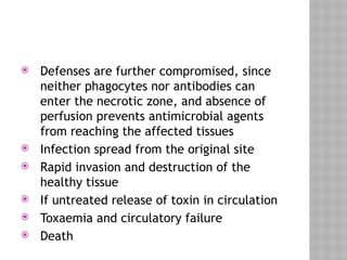  Defenses are further compromised, since
neither phagocytes nor antibodies can
enter the necrotic zone, and absence of
perfusion prevents antimicrobial agents
from reaching the affected tissues
 Infection spread from the original site
 Rapid invasion and destruction of the
healthy tissue
 If untreated release of toxin in circulation
 Toxaemia and circulatory failure
 Death
 