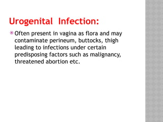 Urogenital Infection:
 Often present in vagina as flora and may
contaminate perineum, buttocks, thigh
leading to infections under certain
predisposing factors such as malignancy,
threatened abortion etc.
 