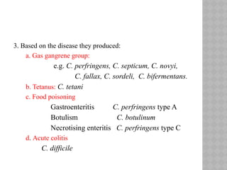 3. Based on the disease they produced:
a. Gas gangrene group:
e.g. C. perfringens, C. septicum, C. novyi,
C. fallax, C. sordeli, C. bifermentans.
b. Tetanus: C. tetani
c. Food poisoning
Gastroenteritis C. perfringens type A
Botulism C. botulinum
Necrotising enteritis C. perfringens type C
d. Acute colitis
C. difficile
 