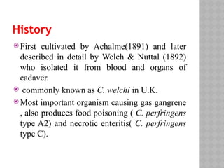 History
 First cultivated by Achalme(1891) and later
described in detail by Welch & Nuttal (1892)
who isolated it from blood and organs of
cadaver.
 commonly known as C. welchi in U.K.
 Most important organism causing gas gangrene
, also produces food poisoning ( C. perfringens
type A2) and necrotic enteritis( C. perfringens
type C).
 