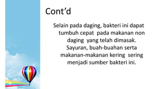 Cont’d
Selain pada daging, bakteri ini dapat
tumbuh cepat pada makanan non
daging yang telah dimasak.
Sayuran, buah-buahan serta
makanan-makanan kering sering
menjadi sumber bakteri ini.

 