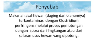 Penyebab
Makanan asal hewan (daging dan olahannya)
terkontaminasi dengan Clostridium
perfringens melalui proses pemotongan
dengan spora dari lingkungan atau dari
saluran usus hewan yang dipotong.

 