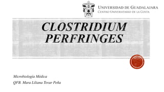 Microbiología Médica
QFB. Mara Liliana Tovar Peña
 