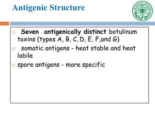 Antigenic Structure
 Seven antigenically distinct botulinum
toxins (types A, B, C, D, E, F,and G)
 somatic antigens - heat stable and heat
labile
 spore antigens - more specific
 