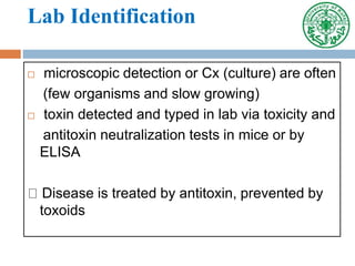Lab Identification
 microscopic detection or Cx (culture) are often
(few organisms and slow growing)
 toxin detected and typed in lab via toxicity and
antitoxin neutralization tests in mice or by
ELISA
Disease is treated by antitoxin, prevented by
toxoids
 