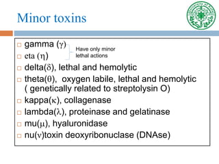 Minor toxins
 gamma (γ)
 eta ()
 delta(), lethal and hemolytic
 theta(), oxygen labile, lethal and hemolytic
( genetically related to streptolysin O)
 kappa(), collagenase
 lambda(), proteinase and gelatinase
 mu(), hyaluronidase
 nu(ν)toxin deoxyribonuclase (DNAse)
Have only minor
lethal actions
 