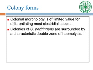 Colony forms
Colonial morphology is of limited value for
differentiating most clostridial species.
Colonies of C. perfringens are surrounded by
a characteristic double-zone of haemolysis.
 