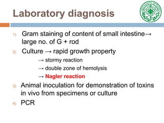 Laboratory diagnosis
1) Gram staining of content of small intestine→
large no. of G + rod
2) Culture → rapid growth property
→ stormy reaction
→ double zone of hemolysis
→ Nagler reaction
3) Animal inoculation for demonstration of toxins
in vivo from specimens or culture
4) PCR
 