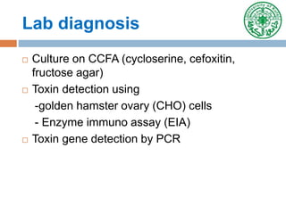 Lab diagnosis
 Culture on CCFA (cycloserine, cefoxitin,
fructose agar)
 Toxin detection using
-golden hamster ovary (CHO) cells
- Enzyme immuno assay (EIA)
 Toxin gene detection by PCR
 