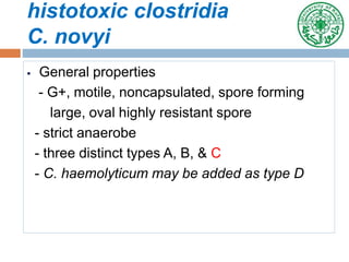 histotoxic clostridia
C. novyi
 General properties
- G+, motile, noncapsulated, spore forming
large, oval highly resistant spore
- strict anaerobe
- three distinct types A, B, & C
- C. haemolyticum may be added as type D
 
