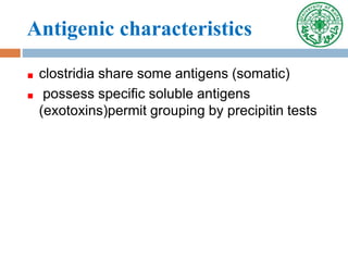 Antigenic characteristics
clostridia share some antigens (somatic)
possess specific soluble antigens
(exotoxins)permit grouping by precipitin tests
 