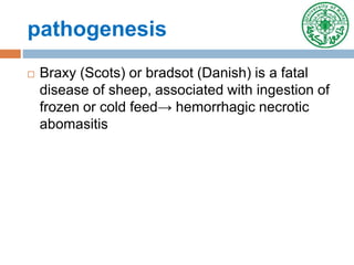 pathogenesis
 Braxy (Scots) or bradsot (Danish) is a fatal
disease of sheep, associated with ingestion of
frozen or cold feed→ hemorrhagic necrotic
abomasitis
 