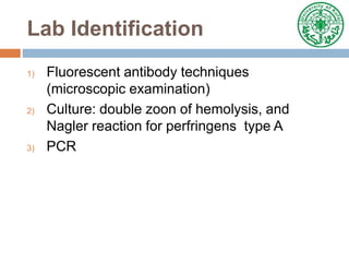 Lab Identification
1) Fluorescent antibody techniques
(microscopic examination)
2) Culture: double zoon of hemolysis, and
Nagler reaction for perfringens type A
3) PCR
 