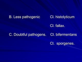 Clostridium spp..ppt