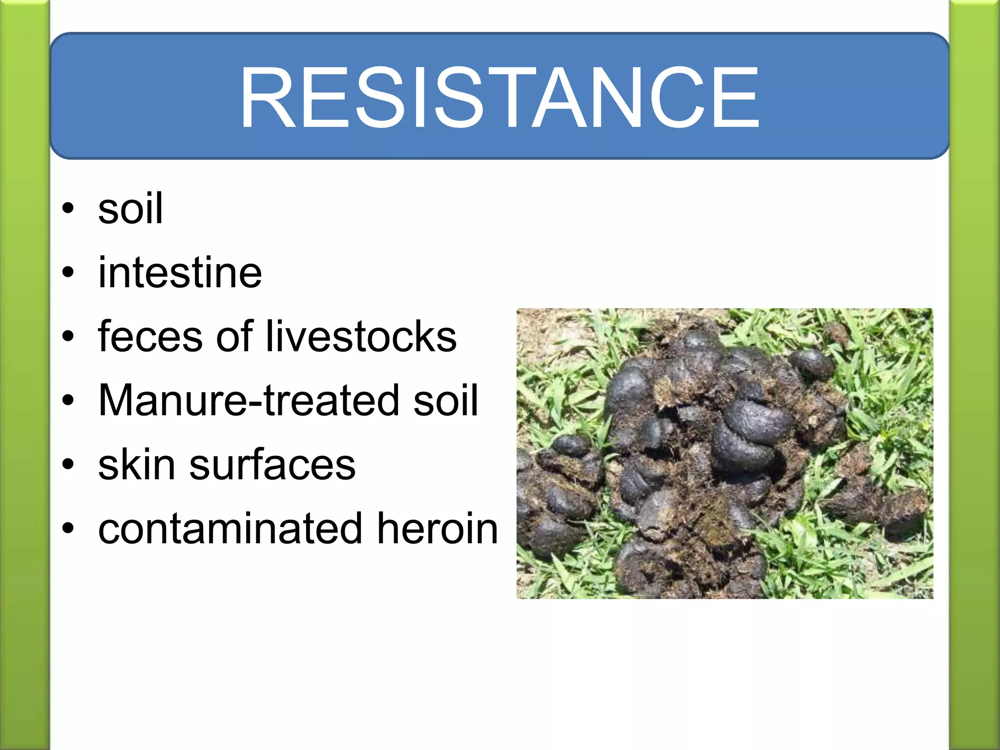 • soil
• intestine
• feces of livestocks
• Manure-treated soil
• skin surfaces
• contaminated heroin
RESISTANCE
 