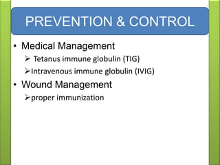 • Medical Management
 Tetanus immune globulin (TIG)
Intravenous immune globulin (IVIG)
• Wound Management
proper immunization
PREVENTION & CONTROL
 