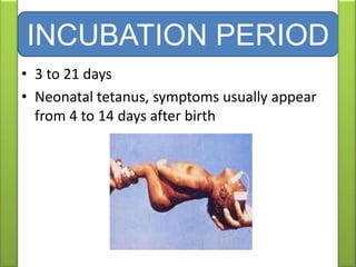 • 3 to 21 days
• Neonatal tetanus, symptoms usually appear
from 4 to 14 days after birth
INCUBATION PERIOD
 