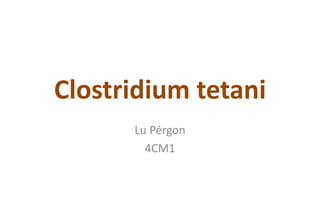 Clostridium tetani
Lu Pérgon
4CM1
 