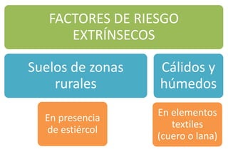FACTORES DE RIESGO
EXTRÍNSECOS
Suelos de zonas
rurales
En presencia
de estiércol
En elementos
textiles
(cuero o lana)
Cálidos y
húmedos
 