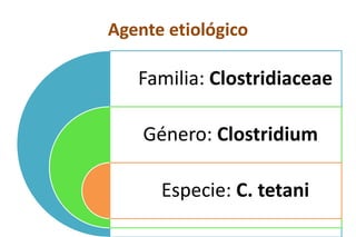 Agente etiológico
Familia: Clostridiaceae
Género: Clostridium
Especie: C. tetani
 