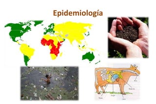 Epidemiología
 