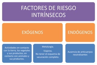 FACTORES DE RIESGO
INTRÍNSECOS
EXÓGENOS
Actividades en contacto
con la tierra, los vegetales
y sus productos; en
contacto con animales y
sus productos.
Metalurgia.
Viajeros.
No tener el esquema de
vacunación completo.
ENDÓGENOS
Ausencia de anticuerpos
neutralizantes
 