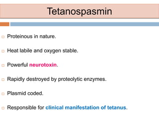 Tetanospasmin
 Proteinous in nature.
 Heat labile and oxygen stable.
 Powerful neurotoxin.
 Rapidly destroyed by proteolytic enzymes.
 Plasmid coded.
 Responsible for clinical manifestation of tetanus.
 