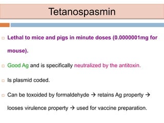 Tetanospasmin
 Lethal to mice and pigs in minute doses (0.0000001mg for
mouse).
 Good Ag and is specifically neutralized by the antitoxin.
 Is plasmid coded.
 Can be toxoided by formaldehyde  retains Ag property 
looses virulence property  used for vaccine preparation.
 