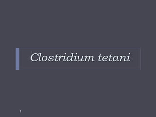 Clostridium tetani



1
 