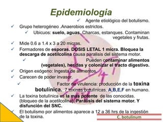 Epidemiologia
 Agente etiológico del botulismo.
 Grupo heterogéneo .Anaerobios estrictos.
 Ubicuos: suelo, aguas. Charcas, estanques. Contaminan
vegetales y frutas.
 Mide 0.6 a 1.4 x 3 a 20 micras.
 Formadores de esporas. DOSIS LETAL 1 micra. Bloquea la
descarga de acetilcolina causa paralisis del sistema motor.
 Pueden contaminar alimentos
(vegetales), heridas y colonizar el tracto digestivo.
 Origen exógeno: Ingesta de alimentos.
 Carecen de poder invasor.
 Factor de virulencia: producción de la toxina
botulínica. 7 toxinas botulínicas. A,B,E,F en humano.
 La toxina botulínica es la mas potente de las conocidas.
(bloqueo de la acetilcolina). Parálisis del sistema motor. Y
disfunción del SNC.
 El botulismo por alimentos aparece a 12 a 36 hrs de la ingestión
de la toxina. C. botulinum
 