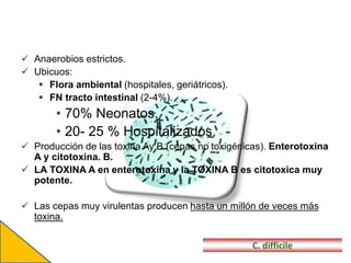  Anaerobios estrictos.
 Ubicuos:
 Flora ambiental (hospitales, geriátricos).
 FN tracto intestinal (2-4%).
• 70% Neonatos.
• 20- 25 % Hospitalizados.
 Producción de las toxina Ay B (cepas no toxigénicas). Enterotoxina
A y citotoxina. B.
 LA TOXINA A en enterotoxina y la TOXINA B es citotoxica muy
potente.
 Las cepas muy virulentas producen hasta un millón de veces más
toxina.
C. difficile
 