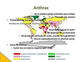 Anthrax
• De la palabra griega anthrakos para carbón
• Causado por esporas
• Primariamente una enfermedad de:
Herbivoros como ovinos, bovinos, equinos, cabras.
• Reservorio natural el suelo:
– No depende de un reservorio
– No puede ser cultivado de suelo, cuando no es endémico
– Ocurre esporadicamente en diversas zonas.
• Zonas de Anthrax
– Suelo rico en materia organica (pH < 6.0)
 