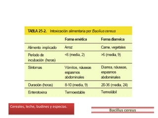 Bacillus cereus
Cereales, leche, budines y especias.
 