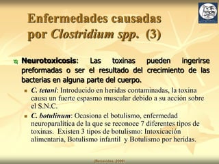 Clostridiosis en rumiantes