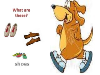 What are
 these?
 