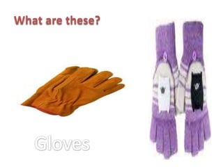 What are these?
 