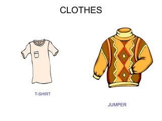 CLOTHES




T-SHIRT

                    JUMPER
 
