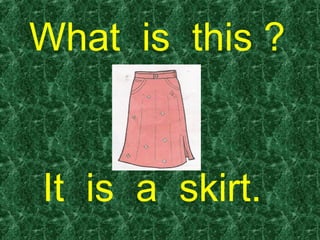 What is this ?


It is a skirt.
 
