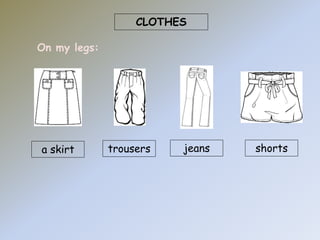 CLOTHES 
On my legs: 
a skirt trousers jeans shorts 
 