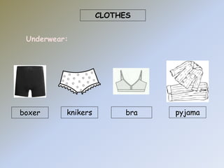 CLOTHES 
Underwear: 
boxer knikers bra pyjama 
 