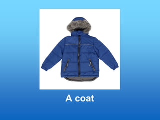 A coat
 