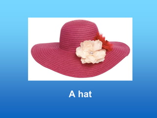 A hat
 