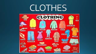 Clothes - Picture