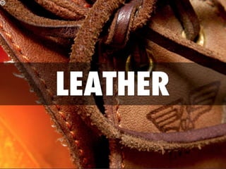 Clothes