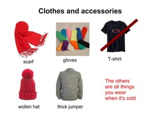 Clothes and accessories scarf gloves wollen hat T-shirt thick jumper The others are all things you wear when it's cold 