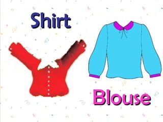 Shirt Blouse 