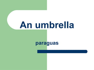 An umbrella paraguas