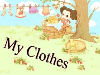 My Clothes 