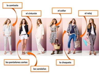 el cinturón
las sandalias
el collar
la chaquetalos pantalones cortos
la camiseta
el reloj
 
